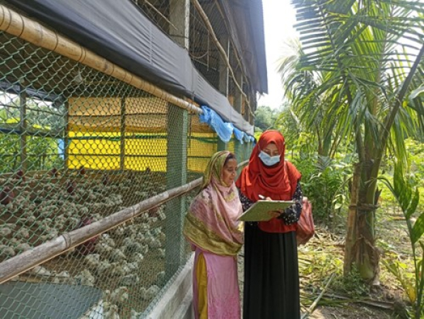 Climate resilient capacity building project in Bangladesh focuses on women in poultry and fish farming