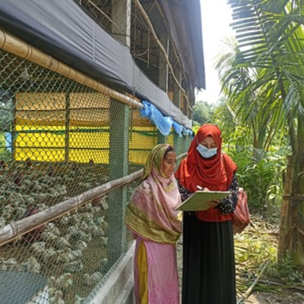 Climate resilient capacity building project in Bangladesh focuses on women in poultry and fish farming